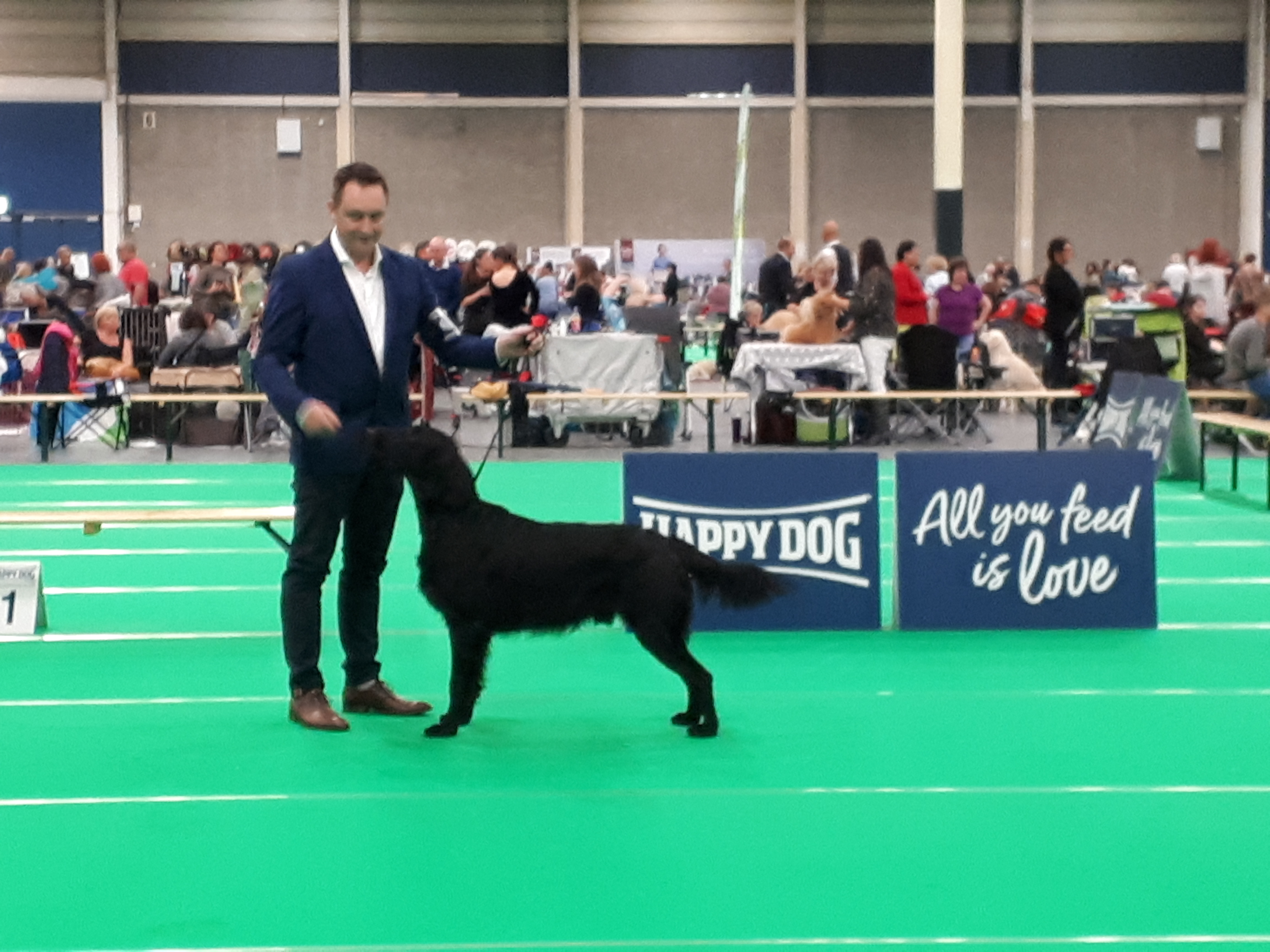 International dogshow Maastricht 27-08-2019